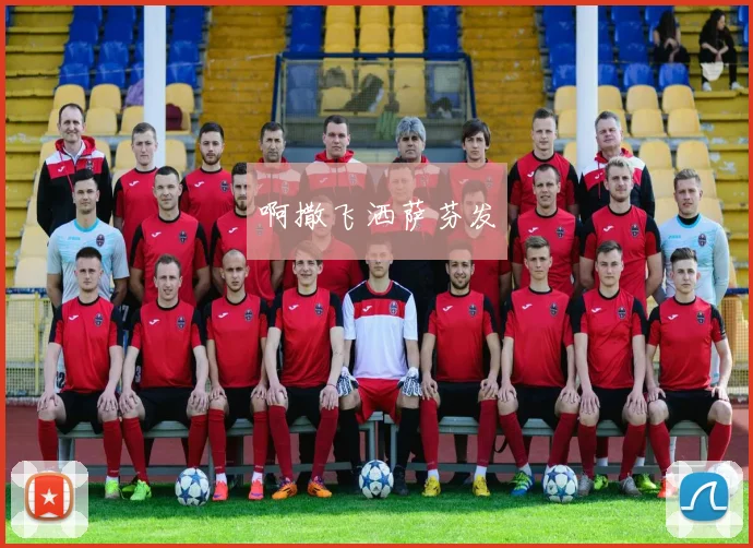 专业玩家揭秘:世界杯期间哪些猜球软件更可靠