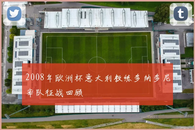 2008年欧洲杯意大利教练多纳多尼率队征战回顾