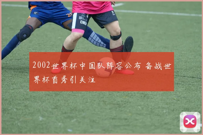 2002世界杯中国队阵容公布 备战世界杯首秀引关注