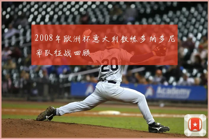 2008年欧洲杯意大利教练多纳多尼率队征战回顾