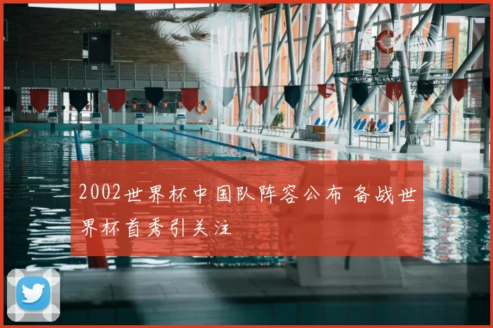 2002世界杯中国队阵容公布 备战世界杯首秀引关注