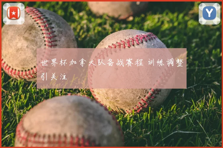 世界杯加拿大队备战赛程 训练调整引关注