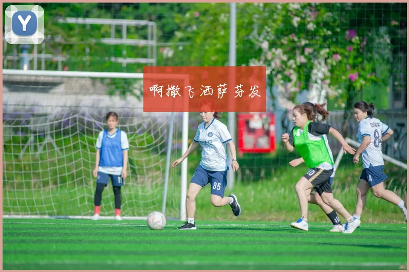 专业玩家揭秘:世界杯期间哪些猜球软件更可靠