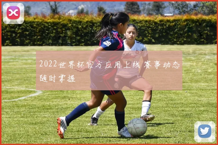 2022世界杯官方应用上线 赛事动态随时掌握