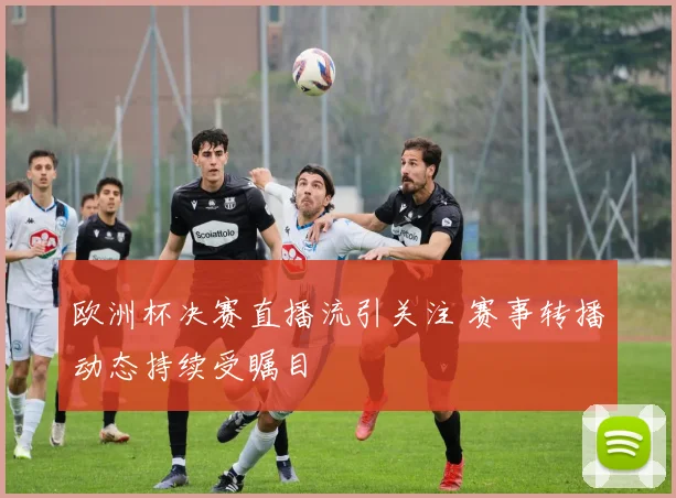 欧洲杯决赛直播流引关注 赛事转播动态持续受瞩目