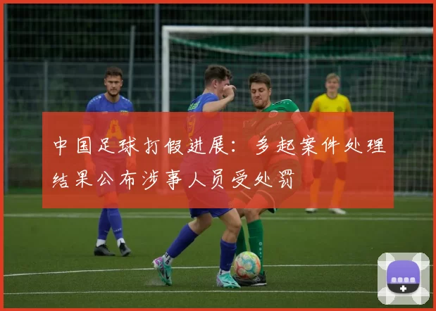 中国足球打假进展：多起案件处理结果公布涉事人员受处罚