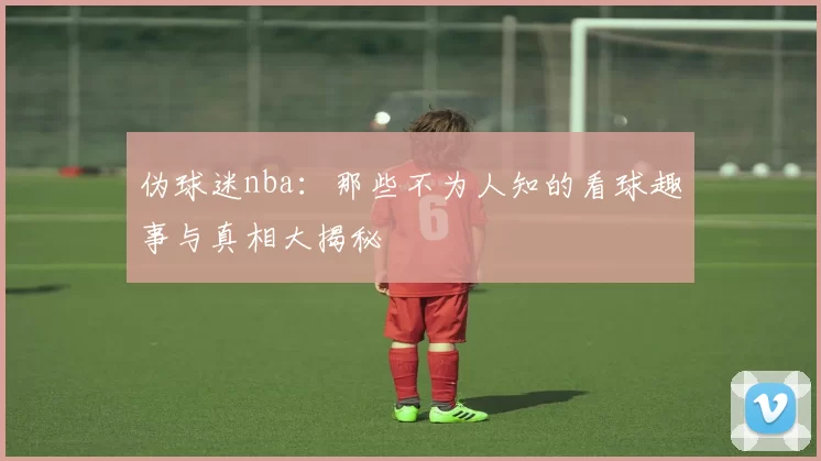 伪球迷nba：那些不为人知的看球趣事与真相大揭秘